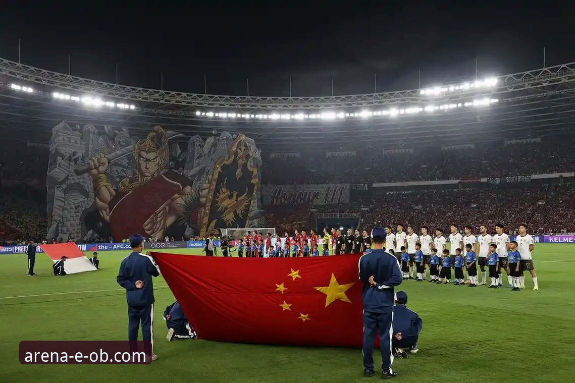 老球迷分享：在ob体育平台回味民主刚果52年后重返世界杯的震撼瞬间